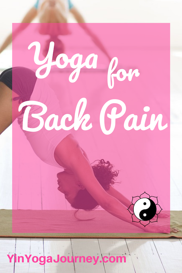See this! If you are sick of dealing with the effects of endless back pain, then maybe now is the right time to try yoga for back pain.